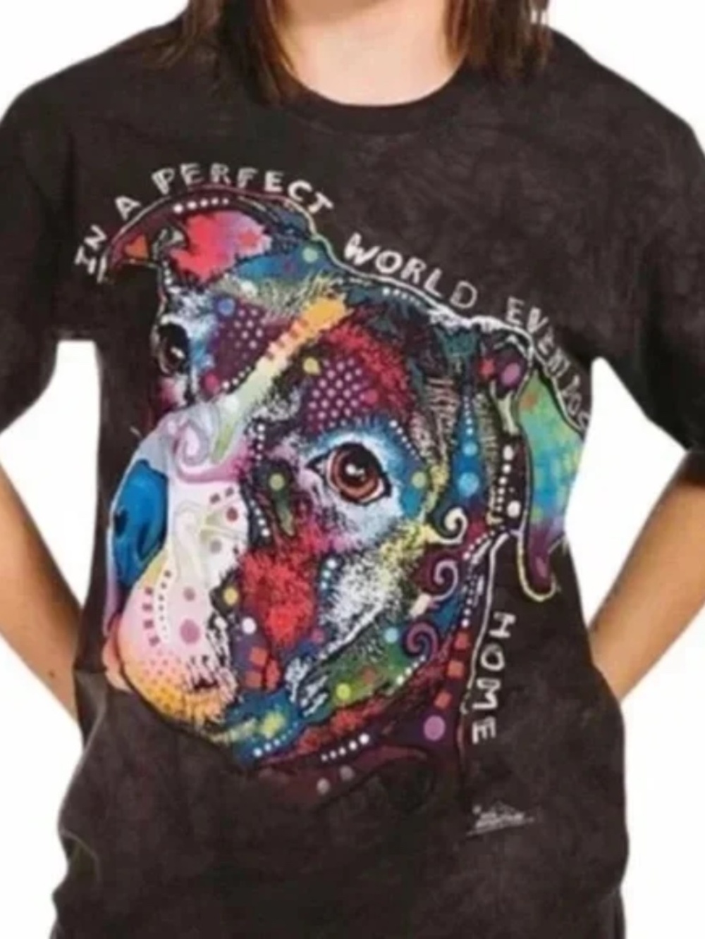 Pitbull Rescue Watercolor Artsy The Mountain Graphic T-Shirt